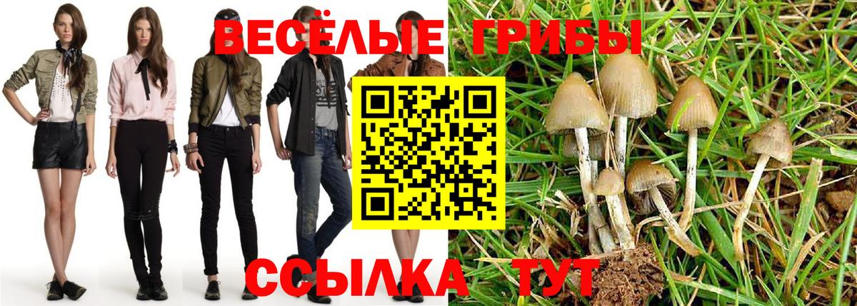 даркнет сайт  Псилоцибиновые грибы Cubensis  Галлюциногенные грибы Psilocybine cubensis  Вход с VPN  Югорск 